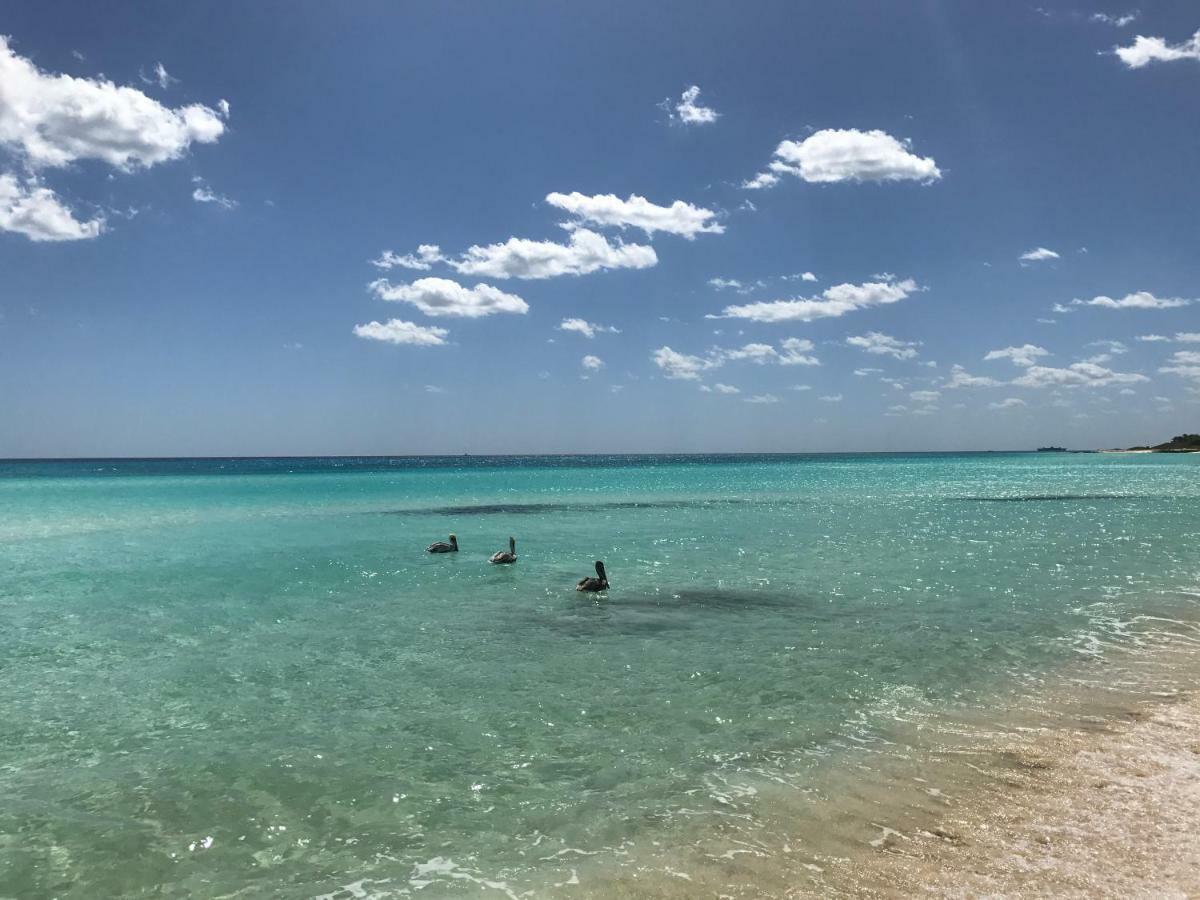 Villa Ikal Playa del Carmen Exterior photo